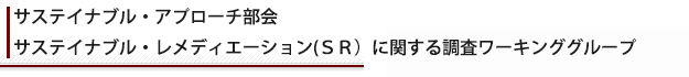 TXeCiuEAv[` TXeCiuEfBG[V(rqjɊւ钲[LOO[v